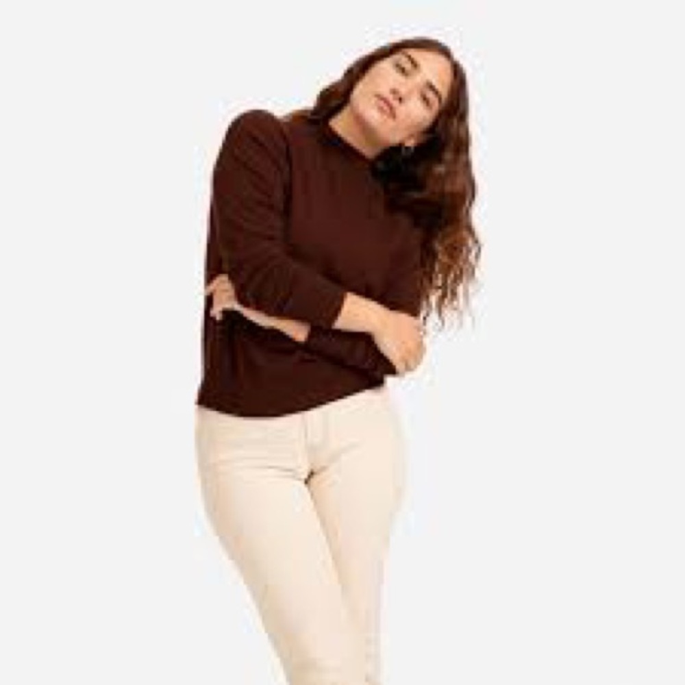 Everlane cashmere crop mock neck sz s brown